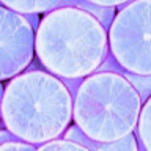 Meet your Posher, Kendall